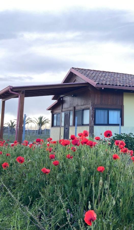 مارغريتا دي سافويا Spiaggia Le Dune Residence المظهر الخارجي الصورة